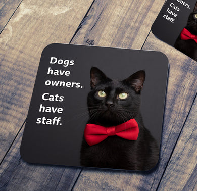 Cats Have Staff Coaster