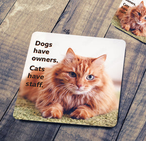 Cats Have Staff Coaster - Ginger Cat