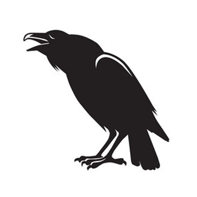 Halloween Vinyl Sticker - Black Crow