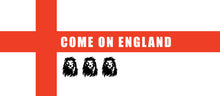 Load image into Gallery viewer, England Football Mug - Three Lions