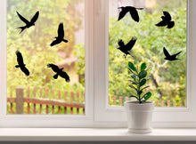 Load image into Gallery viewer, Anti-Collision Window Bird Stickers - for Glass Doors - Vinyl Outdoor Film